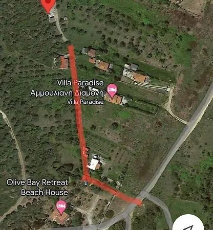 Anna's Olive Grove *