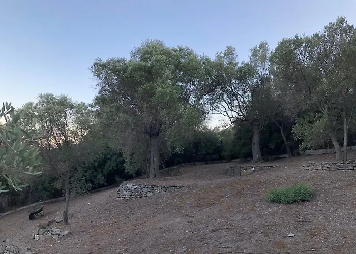 Anna's Olive Grove Casa de Férias Amoliani