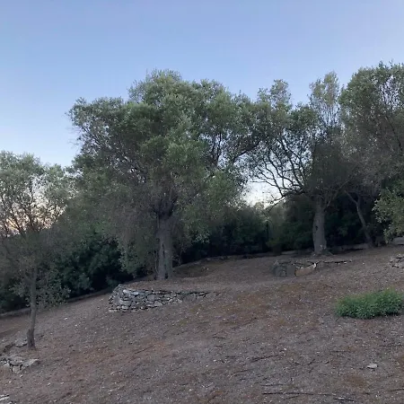 Anna's Olive Grove Ваканционна къща Амоляни