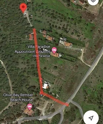 Anna's Olive Grove *